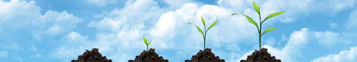 For ccTLD Registries: 4 Steps to Guaranteed Success